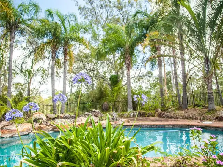 Sixth view of Homely rural property listing, 52 F Holts Road, Pine Mountain QLD 4306