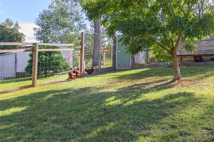 Fourth view of Homely house listing, 53 Mamaku Street, Fernvale QLD 4306