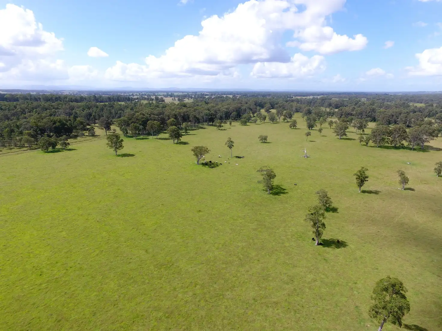 Main view of Homely rural property listing, Lot 2 Mongogarie Road, Leeville NSW 2470
