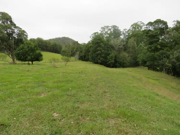 Seventh view of Homely rural property listing, 1725 Nulla Nulla Crk Rd, Bellbrook NSW 2440