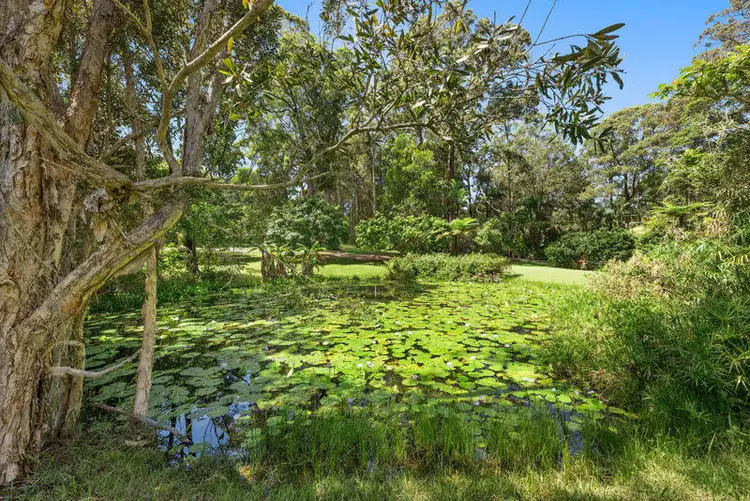 Third view of Homely rural property listing, 105 Morgans Road, Sandy Beach NSW 2456