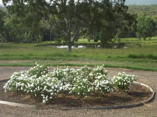 Third view of Homely rural property listing, 167 Fosters Lane, Anderleigh QLD 4570