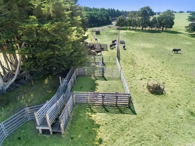 Third view of Homely rural property listing, 260 Birregurra Road, Birregurra VIC 3242