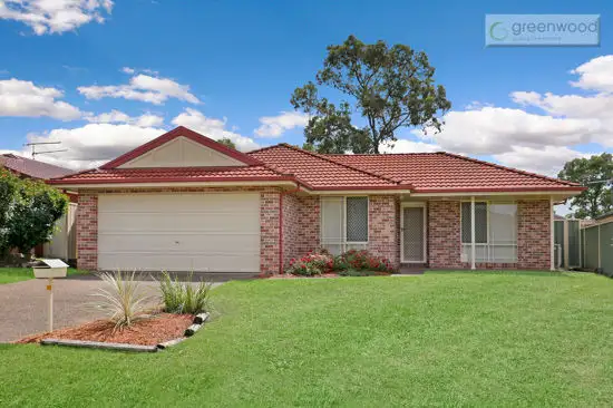 17 Paine Place, Bligh Park NSW 2756