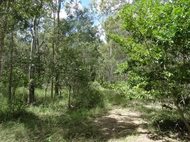 Fifth view of Homely rural property listing, 714 Cross Road, Euleilah QLD 4674