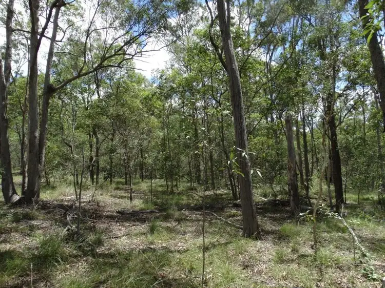Sixth view of Homely rural property listing, 714 Cross Road, Euleilah QLD 4674