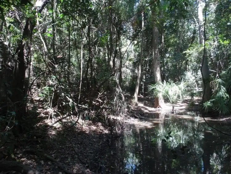 Seventh view of Homely rural property listing, Lowmead Road, Lowmead QLD 4676