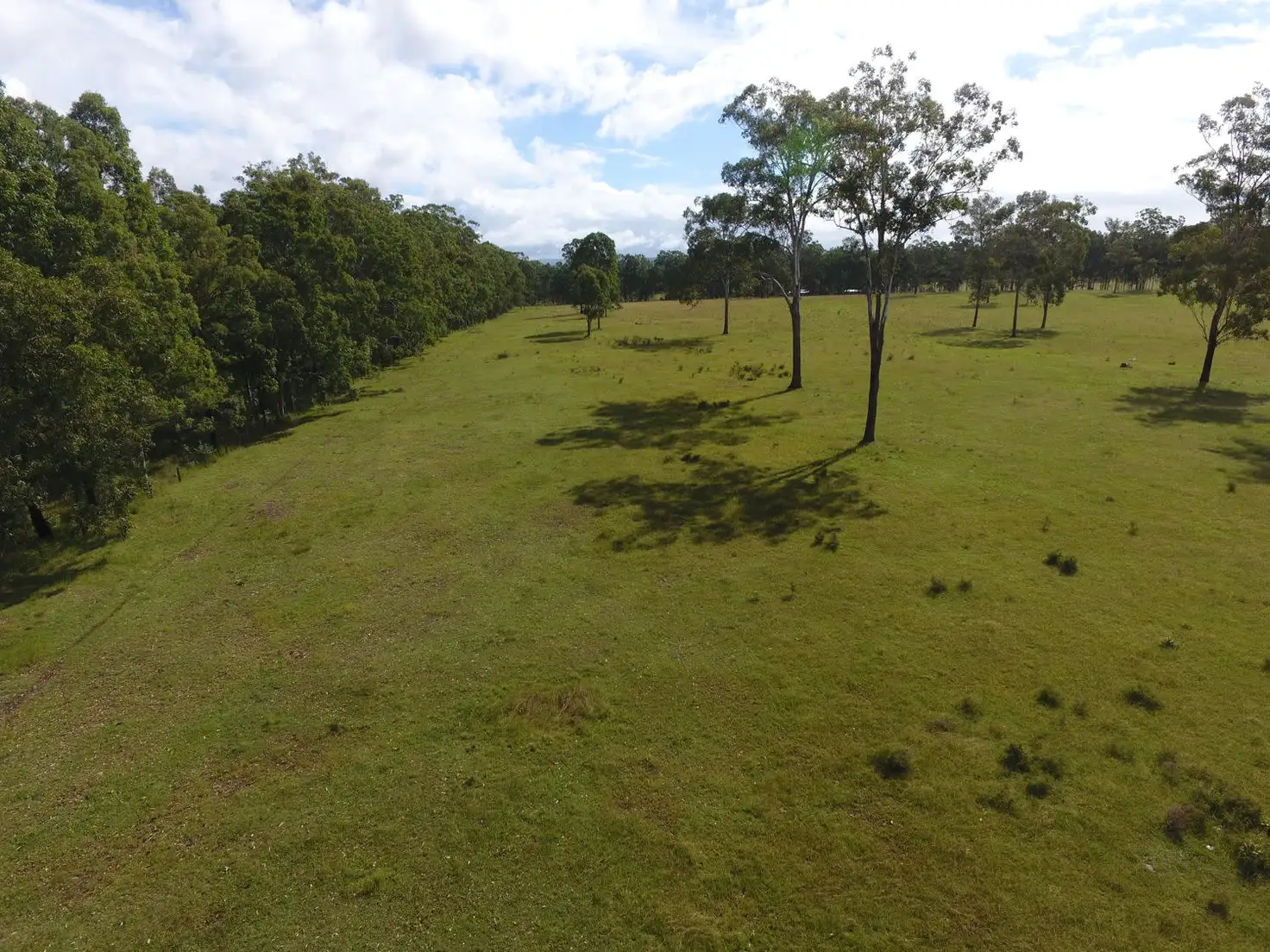 Main view of Homely rural property listing, Lot 1 Mongogarie Road, Leeville NSW 2470