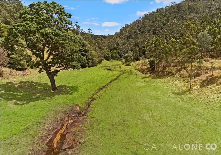 Main view of Homely rural property listing, 160 Spring Gully Lane, Cedar Brush Creek NSW 2259