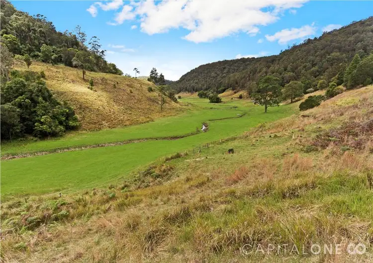 Main view of Homely rural property listing, 150 Spring Gully Lane, Cedar Brush Creek NSW 2259