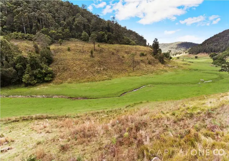 Second view of Homely rural property listing, 150 Spring Gully Lane, Cedar Brush Creek NSW 2259