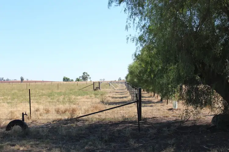 Second view of Homely land listing, Lot 146 Cleek Street, Currawarna NSW 2650