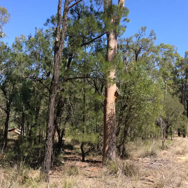 Lot 8 Wallaby Drive, Cypress Gardens QLD 4357