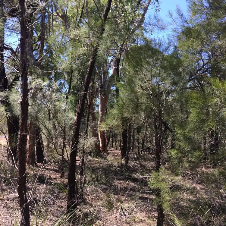 Fifth view of Homely land listing, Lot 8 Wallaby Drive, Cypress Gardens QLD 4357