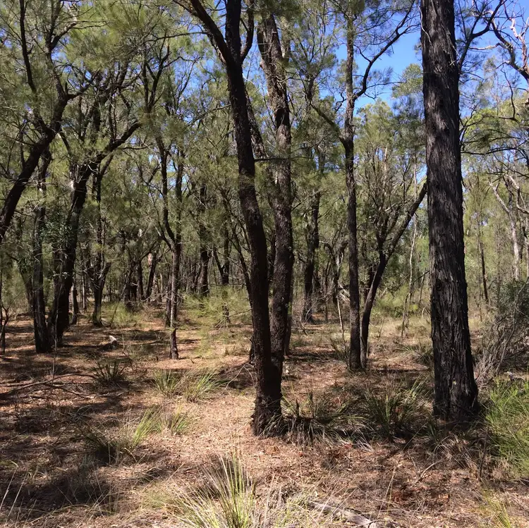 Sixth view of Homely land listing, Lot 8 Wallaby Drive, Cypress Gardens QLD 4357