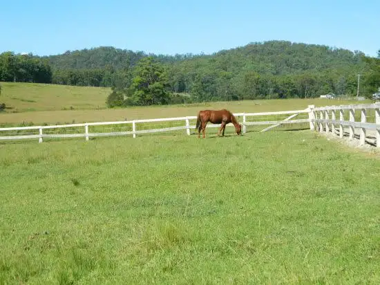 Third view of Homely rural property listing, Address available on request