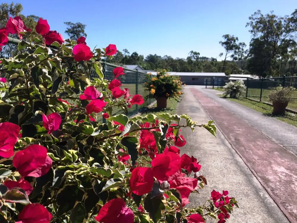 Main view of Homely house listing, 104-106 Madeline Drive, Morayfield QLD 4506