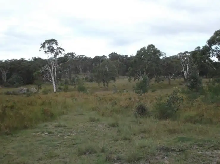 Second view of Homely land listing, 78 Maryland Road, Stanthorpe QLD 4380