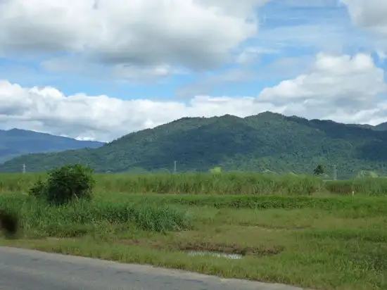 Main view of Homely rural property listing, 2233 Clyde Road, Babinda QLD 4861
