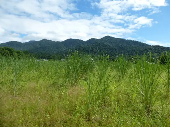 Main view of Homely land listing, 1 The Boulders Road, Babinda QLD 4861
