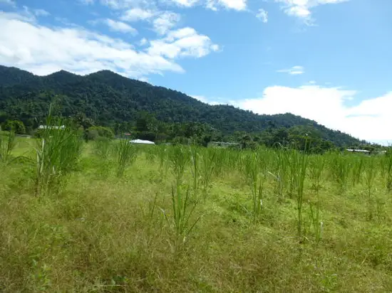 Fifth view of Homely land listing, 1 The Boulders Road, Babinda QLD 4861