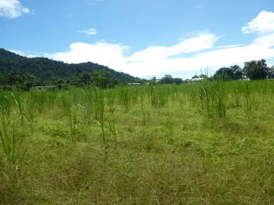 Seventh view of Homely land listing, 1 The Boulders Road, Babinda QLD 4861