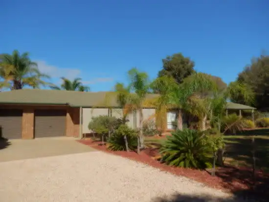 Main view of Homely house listing, 21 Roper Avenue, Renmark SA 5341
