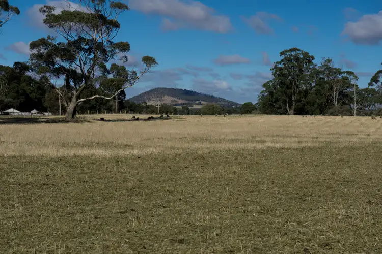 Main view of Homely rural property listing, CA 4B Black Swamp Rd, Bullarook VIC 3352