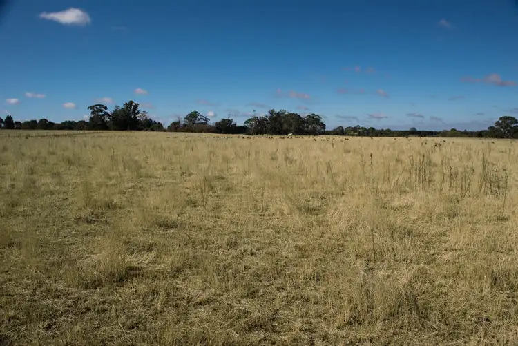 Third view of Homely rural property listing, CA 4B Black Swamp Rd, Bullarook VIC 3352