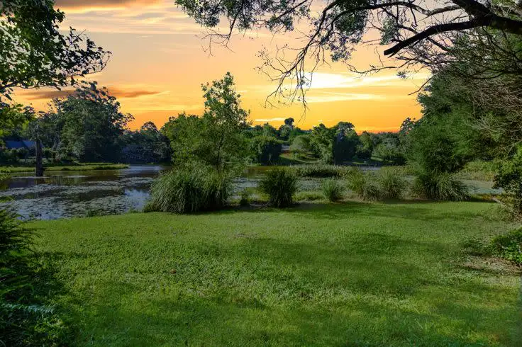 19 Cedar Wood Grove, Flaxton QLD 4560