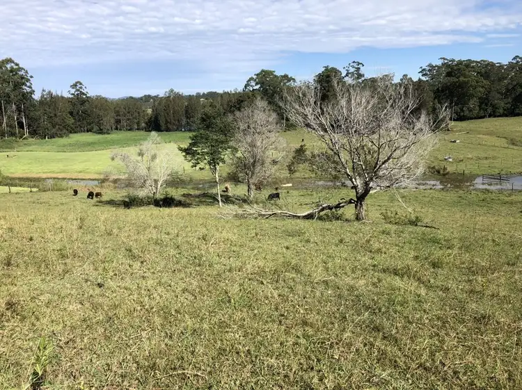 Second view of Homely land listing, Lot 3 Niks Way, Wirrimbi NSW 2447