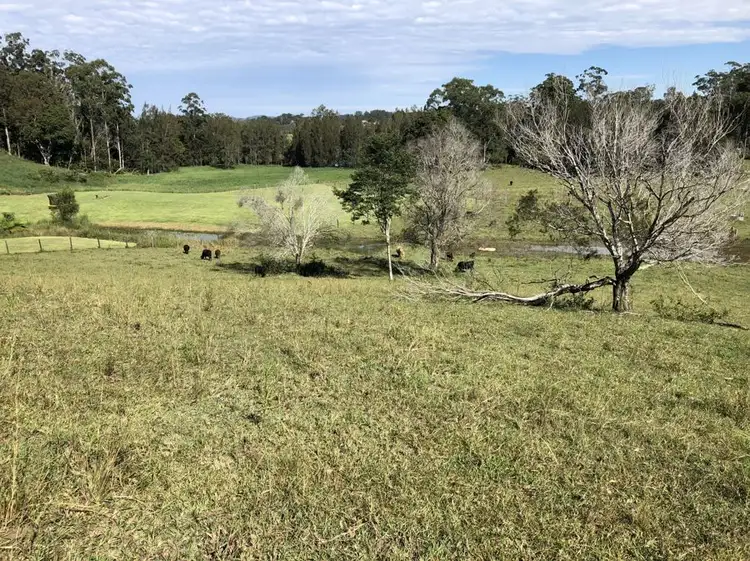Fourth view of Homely land listing, Lot 3 Niks Way, Wirrimbi NSW 2447