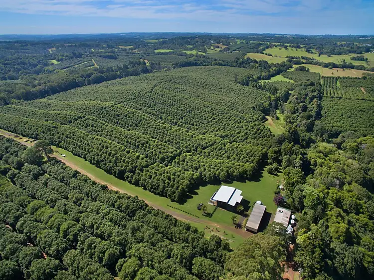 Second view of Homely rural property listing, 100A Lindendale Road, Lindendale NSW 2480