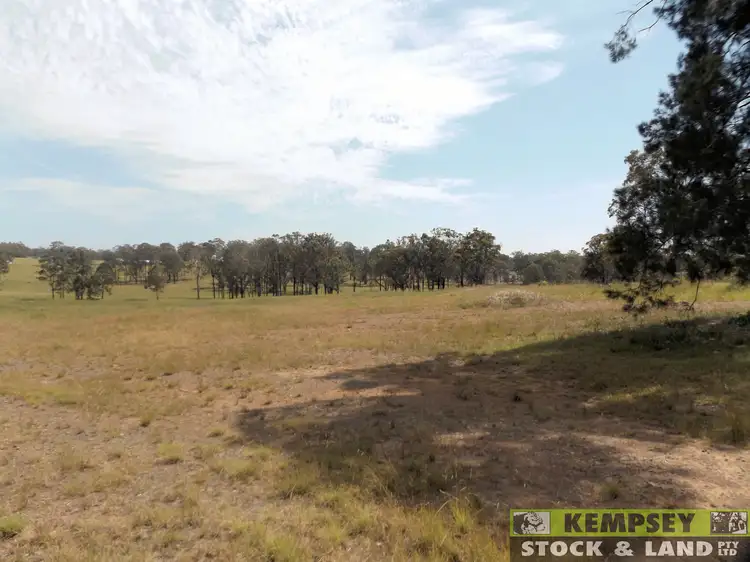 Fifth view of Homely rural property listing, 36 Armidale Rd, Yarravel NSW 2440