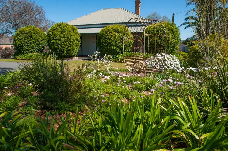 203 Macqueen Street, Aberdeen NSW 2336