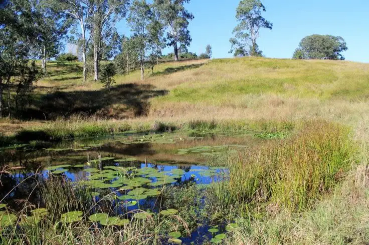 Fourth view of Homely rural property listing, 18420 Clarence Way, Woodenbong NSW 2476