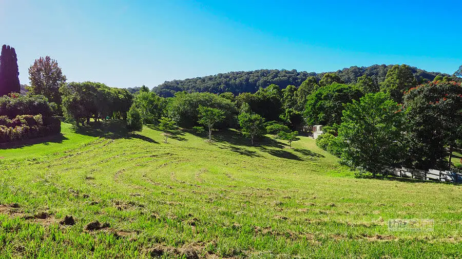 Main view of Homely land listing, 11 Raintree Place, Boambee NSW 2450