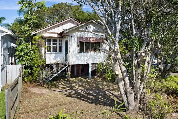 16 McConnell Street, Bulimba QLD 4171