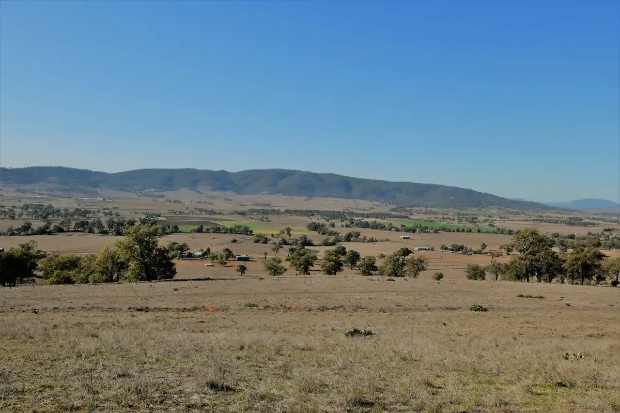 Main view of Homely rural property listing, Wallington Road, Scone NSW 2337