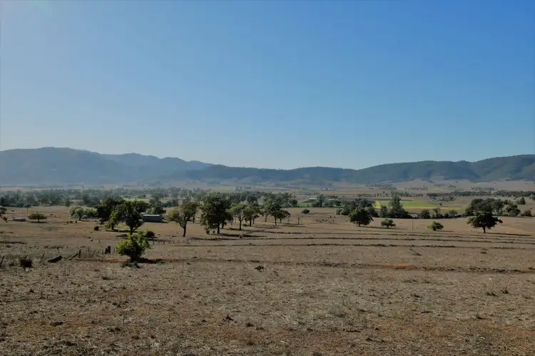Sixth view of Homely rural property listing, Wallington Road, Scone NSW 2337