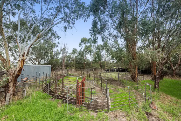 Second view of Homely rural property listing, 4165 Cape Otway Road, Birregurra VIC 3242
