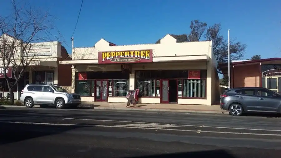 Main view of Homely house listing, 32-34 Chanter St, Berrigan NSW 2712