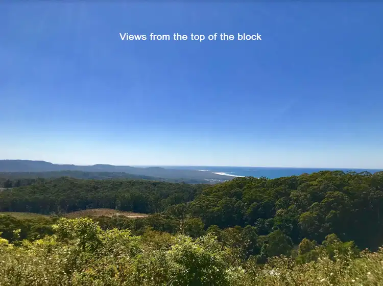 Fifth view of Homely rural property listing, 293 & 293A Gaudrons Road, Sapphire Beach NSW 2450