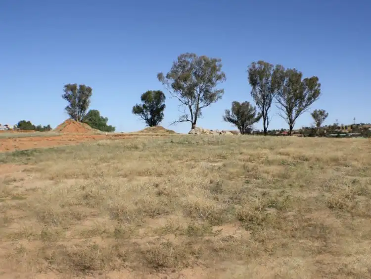 44 John Potts Drive, Junee NSW 2663