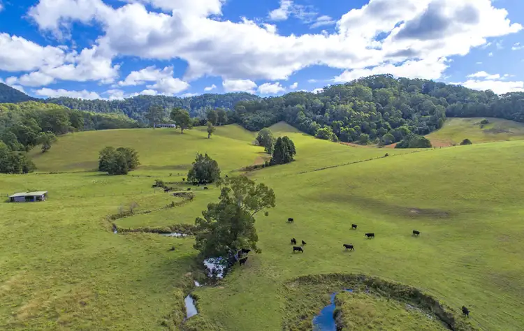 Fourth view of Homely rural property listing, 110 North Island Loop Road, Upper Orara NSW 2450