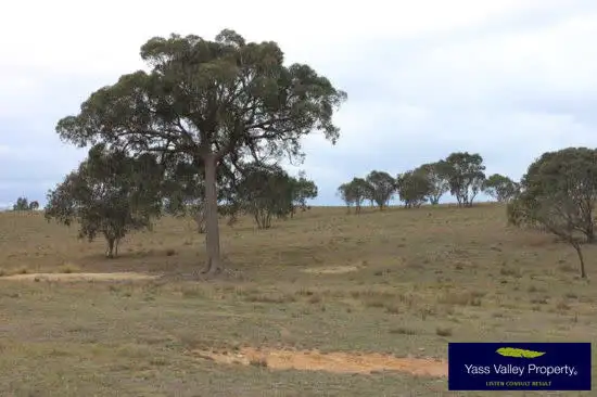 Main view of Homely rural property listing, 919 Broadway Road, Jerrawa NSW 2582