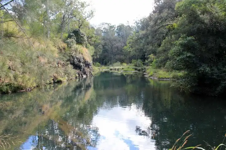 Second view of Homely rural property listing, 1560 Gradys Creek Road - Cougal, Kyogle NSW 2474