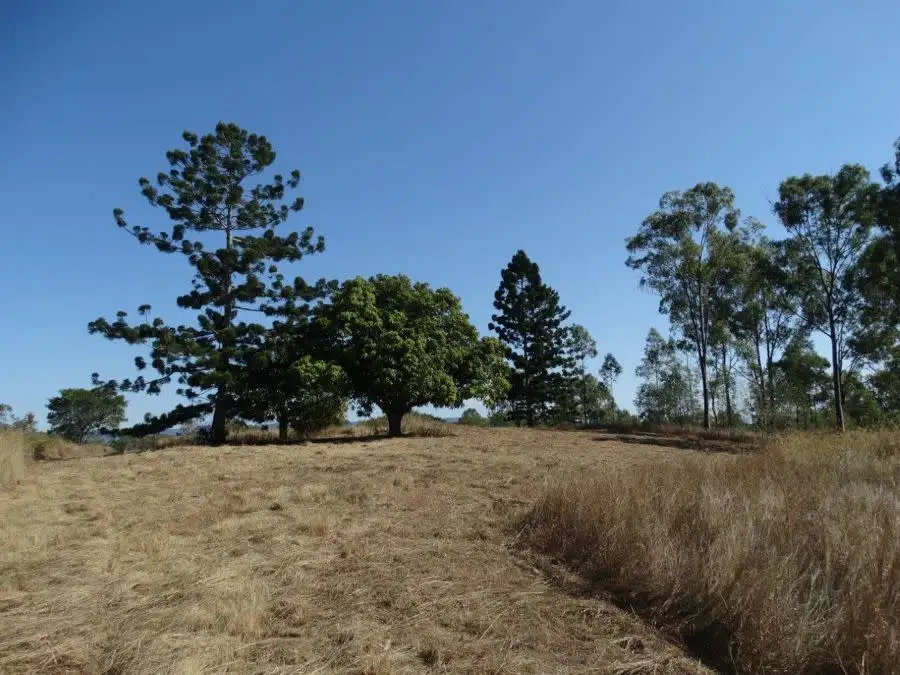 Main view of Homely rural property listing, 1287 Clarke Road, Lowmead QLD 4676