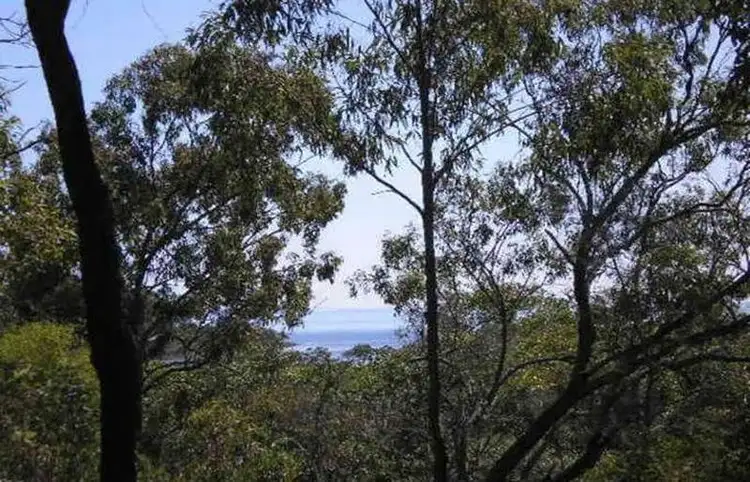 15 Beelong Street, Macleay Island QLD 4184