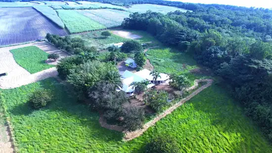 Second view of Homely rural property listing, 26 Sherrington Road Mowbray, Port Douglas QLD 4877